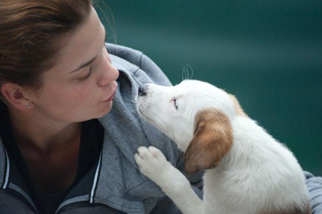 Puppy sniffing a woman's nose